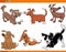 Dogs and puppies funny animal characters set