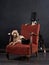 Dogs and rats in the chair. Retro picture with pets. border collie and poodle on a red chair