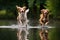 dogs reflection in water while catching frisbee