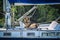 Dogs rest on a yacht parked in the mangrove estuary near Bor Hin Resort, a farm stay