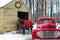 Dogs in retro red truck by horses