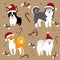 Dogs in Santa hats. Christmas card