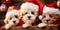 Dogs in Santa suits: Santa& x27;s loyal helpers. Generative AI