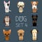 Dogs Set 3. Vector breed of dogs