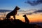 Dogs silhouette graces the horizon against a picturesque sunset