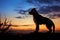 Dogs silhouette graces the horizon against a picturesque sunset