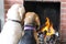 Dogs Sitting in Front of Fire