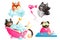 Dogs spa and grooming service, funny puppies set