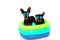 DOGS SUMMER VACATIONS. TWO PINSCHER SUNBATHING WITH COLORFUL AIR POOL ON HOLIDAYS. ISOLATED AGAINST WHITE BACKGROUND