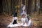 Dogs, Two funny, very cute Afghan hounds hats and scarves