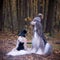 Dogs, Two funny, very cute Afghan hounds hats and scarves on the background of the forest