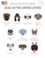 Dogs in the United States. American dog breeds. Infographic temp