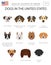 Dogs in the United States. American dog breeds. Infographic temp