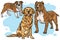 Dogs Vector Cartoon Drawing Set Collection. Bulldog, Golden Retriever, Pitbull Illustration