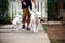 Dogs walking with owner at the park.