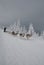 Dogsled on trail of Sedivacek\'s long