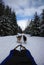 Dogsledding in Callaghan Valley, BC