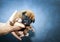 Dogue de Bordeaux - Puppies - 6 days