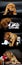 Dogue de Bordeaux puppy collage