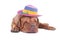 Dogue de bordeaux with summer hat