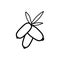 Dogwood berries line icon on a white background