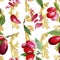 Dogwood red fruit and green leaves. Watercolor background illustration set. Seamless background pattern.