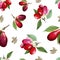 Dogwood red fruit and green leaves. Watercolor background illustration set. Seamless background pattern.