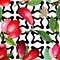 Dogwood red fruit and green leaves. Watercolor background illustration set. Seamless background pattern.