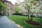 Dogwood tree and Meletia Hall at Notre Dame of Maryland University, in Baltimore, Maryland.