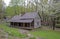 Dogwoods are blooming around the Bud Ogle Place in the Smokies.