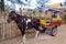 \'Dokar\' so called carriage pulled by Horse, Indonesia