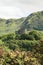 Dolbadarn Castle viewed through the trees, Llanberis, North Wale