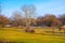 Dolina Sluzewiecka valley and public park in Warsaw, Poland along the Potok Sluzewiecki creek in early spring season