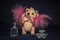 Doll bear-angel with pink fluffy wings