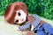 Doll face lying beautiful redhead puppet in green background