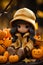 a doll sitting in front of pumpkins
