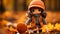 a doll wearing an orange hat and holding an orange ball