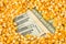 Dollar banknotes covered with corn or maize kernels - corn cost or prize concept