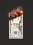 Dollar Burning Cash Note