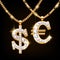 Dollar and euro sign jewelry necklace on golden chain