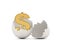 Dollar sign hatched from egg.