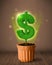 Dollar sign tree coming out of flowerpot