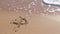 Dollar sign written in the sea sand. Waves washed away the inscription.