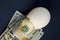 dollars in egg peel - photo