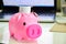 Dolls, piggy bank, pink piggy bank, saving