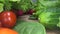 Dolly shot of home grown and harvested vegetables on wooden table background. Gliding through fresh lettuce, salad, tomato, radish