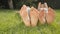 Dolly shot of two friends feet lying on grass at park