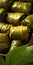 Dolma close-up. A national dish. Dolma, cabbage rolls, sarmale. Generative AI