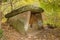 Dolmen is in the autumn forest.