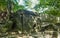 Dolmen in the Caucasus Mountains in the vicinity of the village Divnomorskoe of the Krasnodar Territory